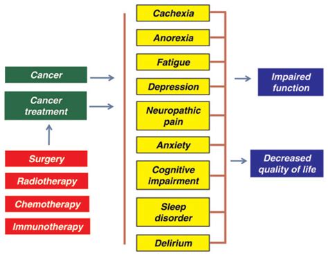 Effect Of Cancer And Cancer Treatment On The Patients Life Cancer And