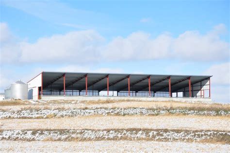 Most cows have a diet that is composed of at least some forage (grass, legumes, or silage). New Cattle Barns - New Modern Concepts