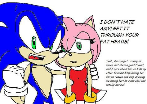 Sonic Vs Amy Haters By Pinkfongfan101 On Deviantart