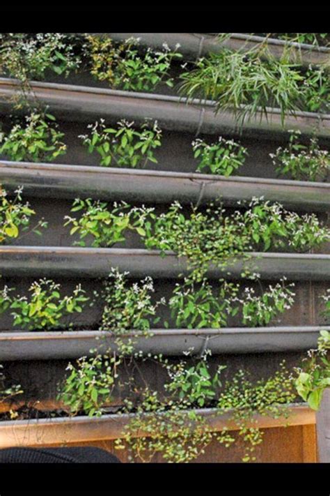 20 Rain Gutter Garden Ideas You Should Check Sharonsable