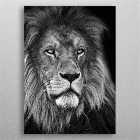 African Lion King Head Poster By Mk Studio Displate African Lion