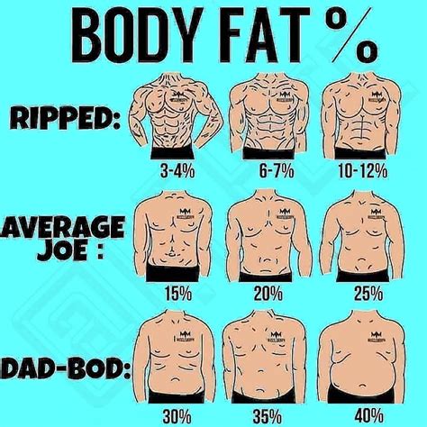 How To Calculate Your Body Fat Percentage Haiper