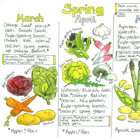 Seasonal UK Fruit And Vegetable Chart Liz Cook Charts Fruit In