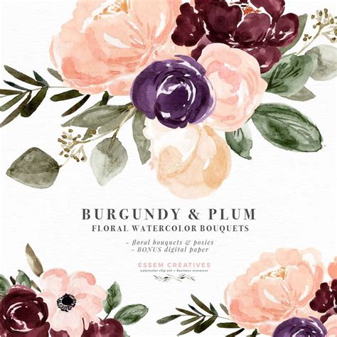 Burgundy Plum Floral Watercolor Clipart Blush Burgundy Watercolor