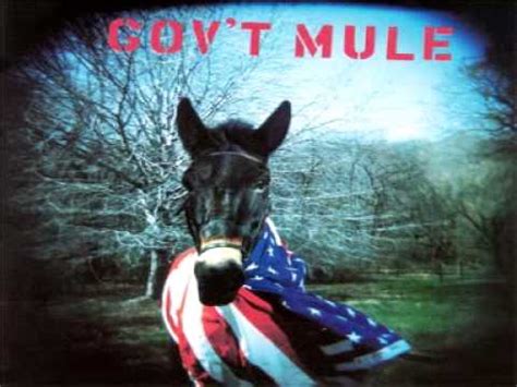 The name is derived from the word government. Gov't Mule - Rocking Horse - YouTube
