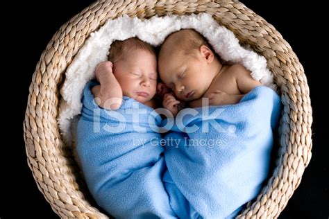 Newborn Twins In A Basket Stock Photo Royalty Free Freeimages