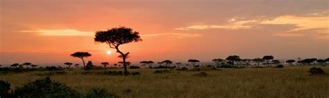 Tanzania Wildlife Safari | EF Go Ahead Tours