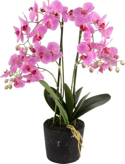 Kunstplant Orchidee Roze 5 Tak H68 5cm Bol Com