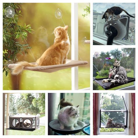 7 Cat Window Hammocks Your Kitty Will Love Meow As Fluff