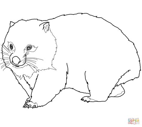 Wombat Coloring Page Free Printable Coloring Pages