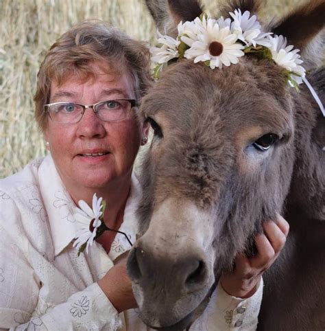 Donkey Running For Mayor Of Bc Interior Town North Shore News