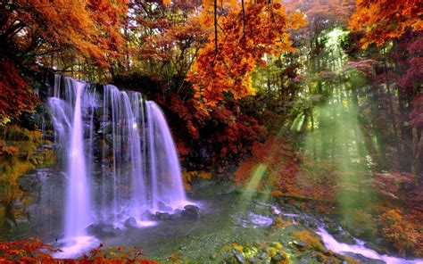 Waterfall And Sunbeam In Autumn Forest