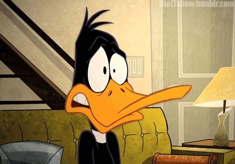 The Looney Tunes Show Looney Tunes Gif Wifflegif