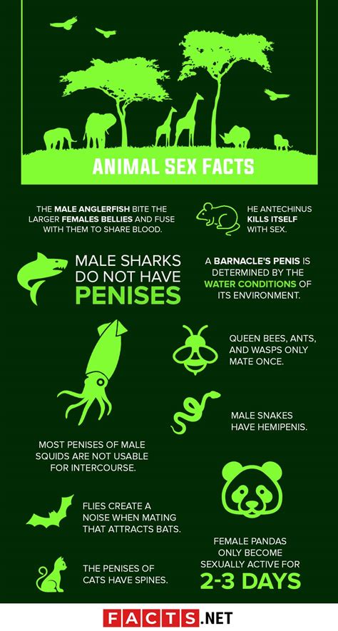 30 Animal Sex Facts About How Your Favourite Animal Reproduces