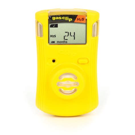 Portable Gas Monitors Rose Environment