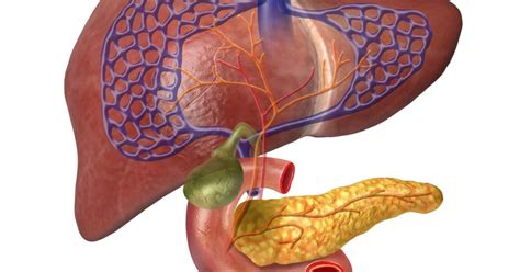 This material must not be used for commercial purposes, or in any hospital or medical facility. Sphincter of Oddi dysfunction: Symptoms, diet, and relief
