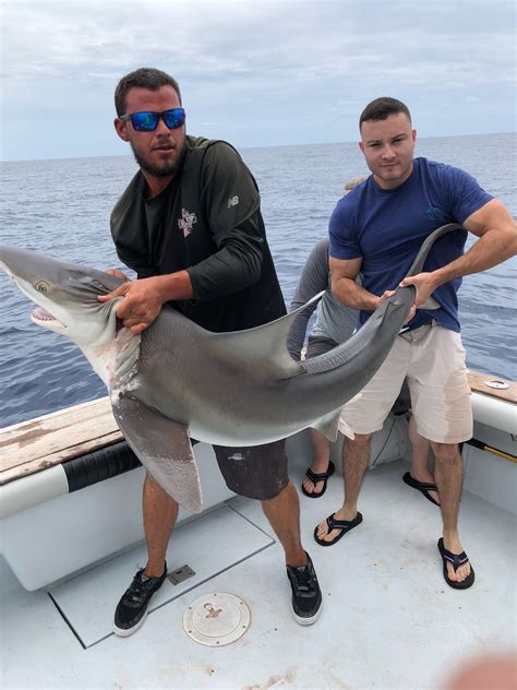 Shark Fishing In Cocoa Beach Port Canaveral Fishing Charters