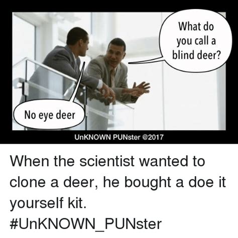 What Do You Call A Blind Deer No Eye Deer Unknown Punster When The
