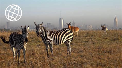 Nairobi National Park Kenya Amazing Places 4k Youtube