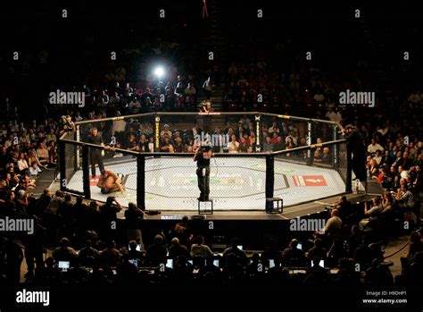 The Octagon Ring During The Ultimate Fighting Championship Ufc 65 At