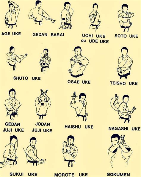 Basic Karate Blocks Avec Images Karaté Shotokan Karaté Kyokushin