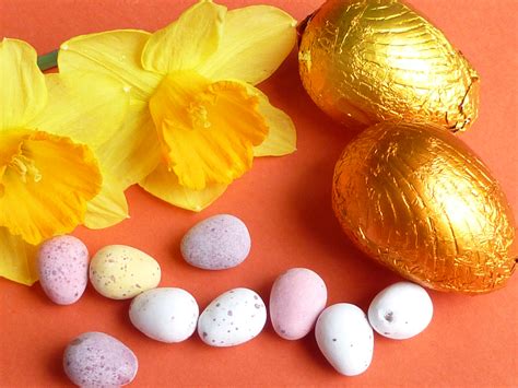 Daffodils And Chocolate Eggs On Orange Creative Commons Stock Image