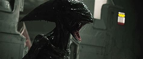 Additionally they can be transmitted clandestinely through the air. 10 things we know about Alien: Covenant so far! - Alien ...