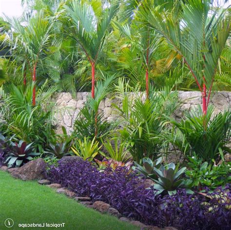 Tropical Backyard Landscaping Front Lawn Landscaping Florida