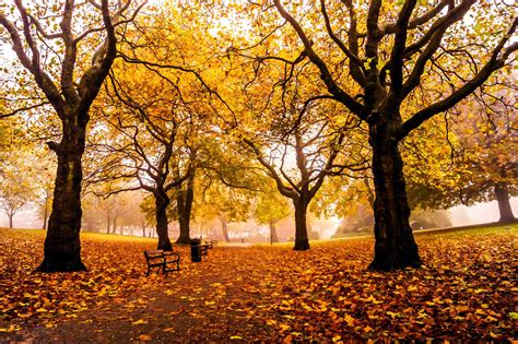 Sheffield Weston Seasons Autumn Parks England United Kingdom