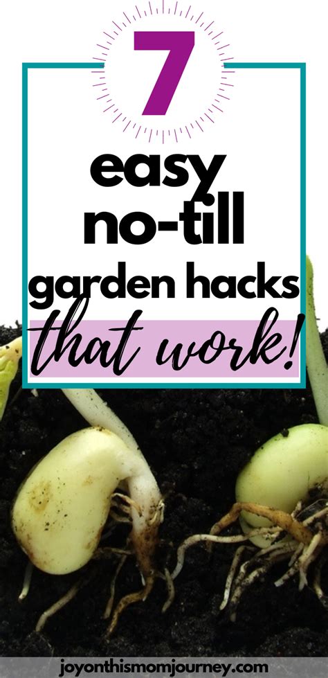 easy no till garden hacks for growing your own food no till garden grow your own food