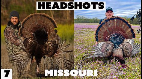 Gobbler At Steps Awesome Headshots In Missouri Spring