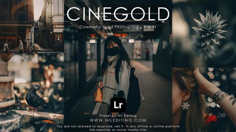 How To Edit Professional Cinematic Gold Photography Mobile Lightroom
