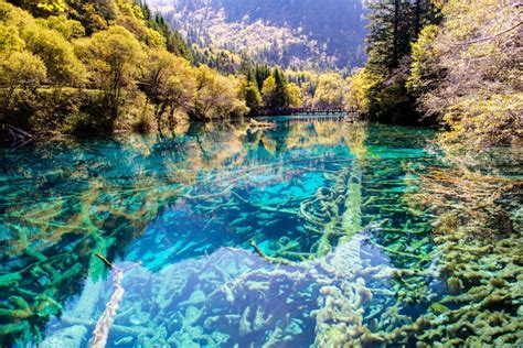 Visiting Jiuzhaigou National Park From Chengdu China