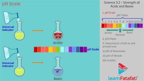 Strength Of Acid And Base Solution Ph Scale Class 10 Youtube