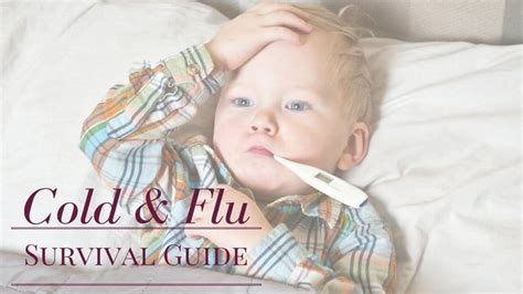 Cold And Flu Survival Guide