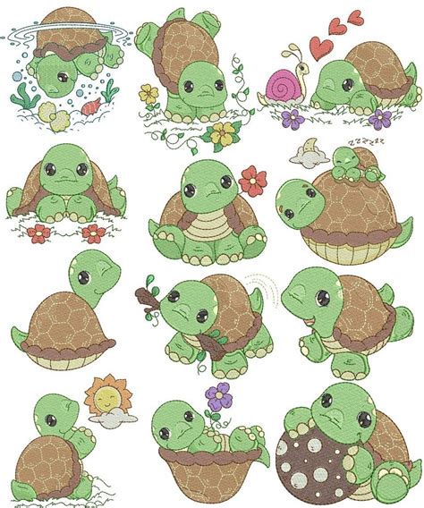 Precious Turtles In 2021 Turtle Drawing Cute Turtles Turtle Images