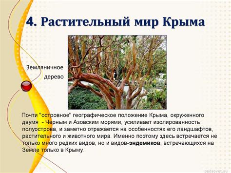 Растительный мир Крыма online presentation