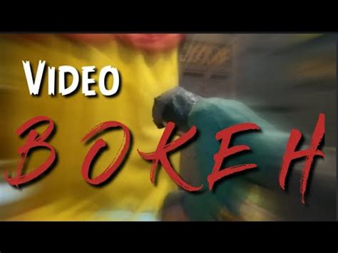 Bokeh indonesia tanpa ada batas usia 2019 views : Video Bokeh Museum - YouTube