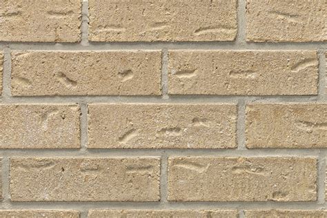 Acme Brick Americana Modular Extruded Buff Light Texture Clay Brick