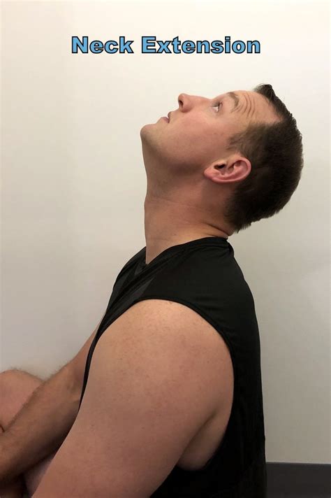 Extension Exercise Cascade Chiropractic And Wellness