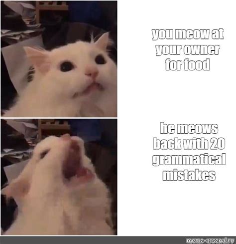 Сomics Meme You Meow At Your Owner For Food He Meows Back With 20