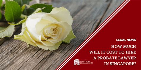A probate lawyer can make sure that everything you include in your will is carried out since you won't be able to do this yourself. How Much Will It Cost to Hire a Probate Lawyer in ...