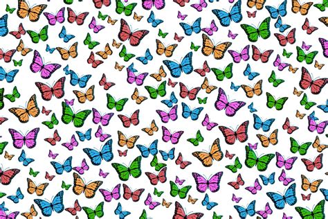 Butterflies Background Free Stock Photo Public Domain Pictures