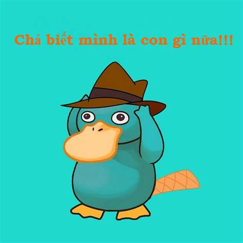 Check spelling or type a new query. Những ảnh chế hài hước về chú Vịt bối rối Psy Duck