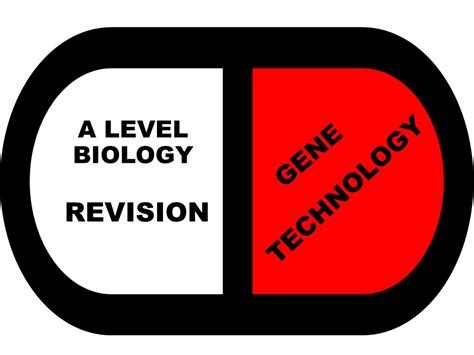 A Level Biology Gene Technology Revision Teaching Resources