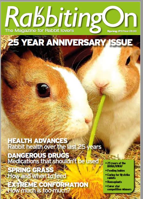 rabbiting on one copy of a back issue spring 2020 onwards rabbit welfare shop
