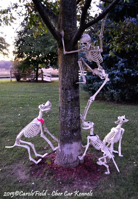 50 Ways To Display Skulls And Skeletons On Halloween Halloween Diy