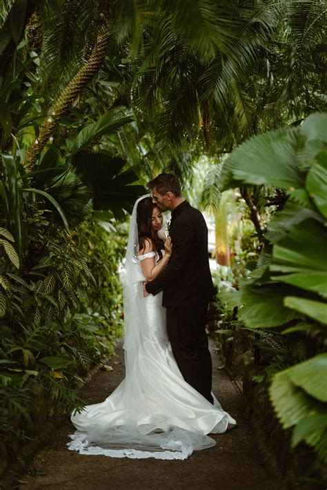 Tropical Costa Rica Elopement Eloping In Costa Rica Elopement