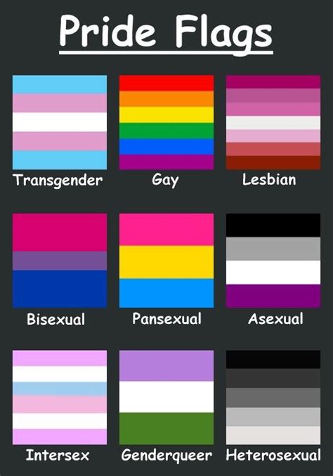 Flags Of Different Sexualties L G B T Q Amino