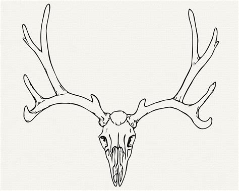 Antlers Svg Realistic Deer Antler Clip Art Cut File For Etsy